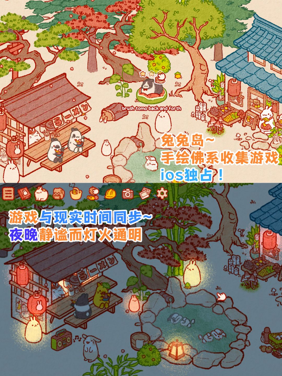 不要太可爱❗️萌萌兔兔岛🥕精神温馨之家❗️ 2