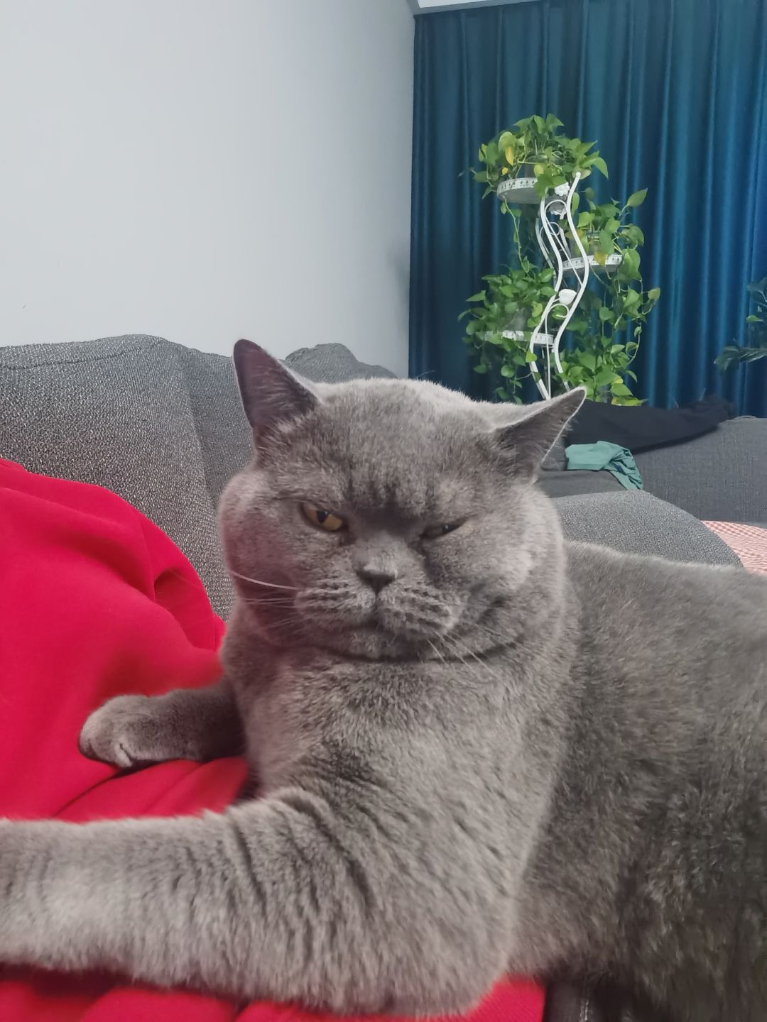 问:洞府多久出一次,洞府和消费一起多久出 1