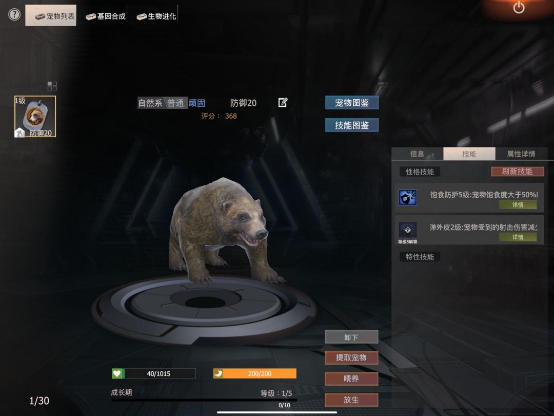 宠物技能 1