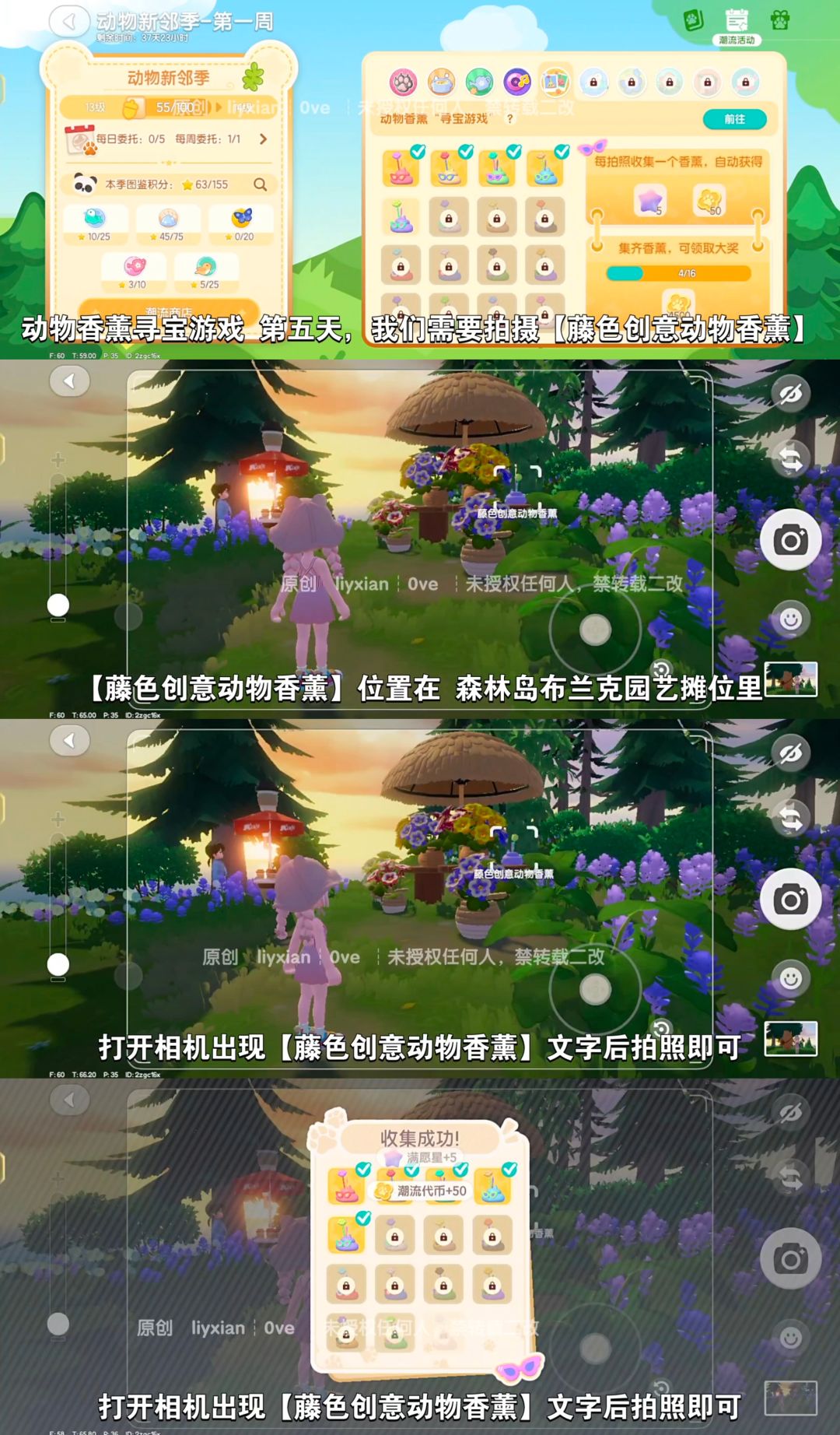 【心动小镇】动物香薰寻宝游戏 第五天攻略 2