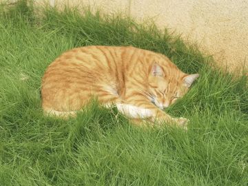 欢迎新人来新区（四区）～