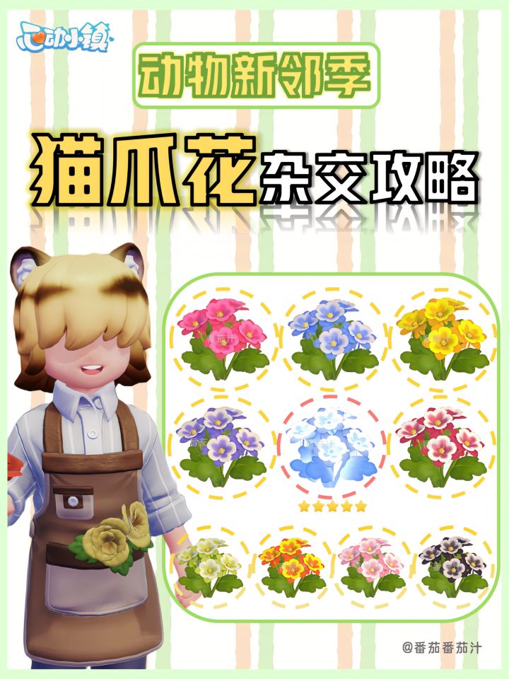 动物新邻季 限定猫爪花 杂交攻略图鉴截图
