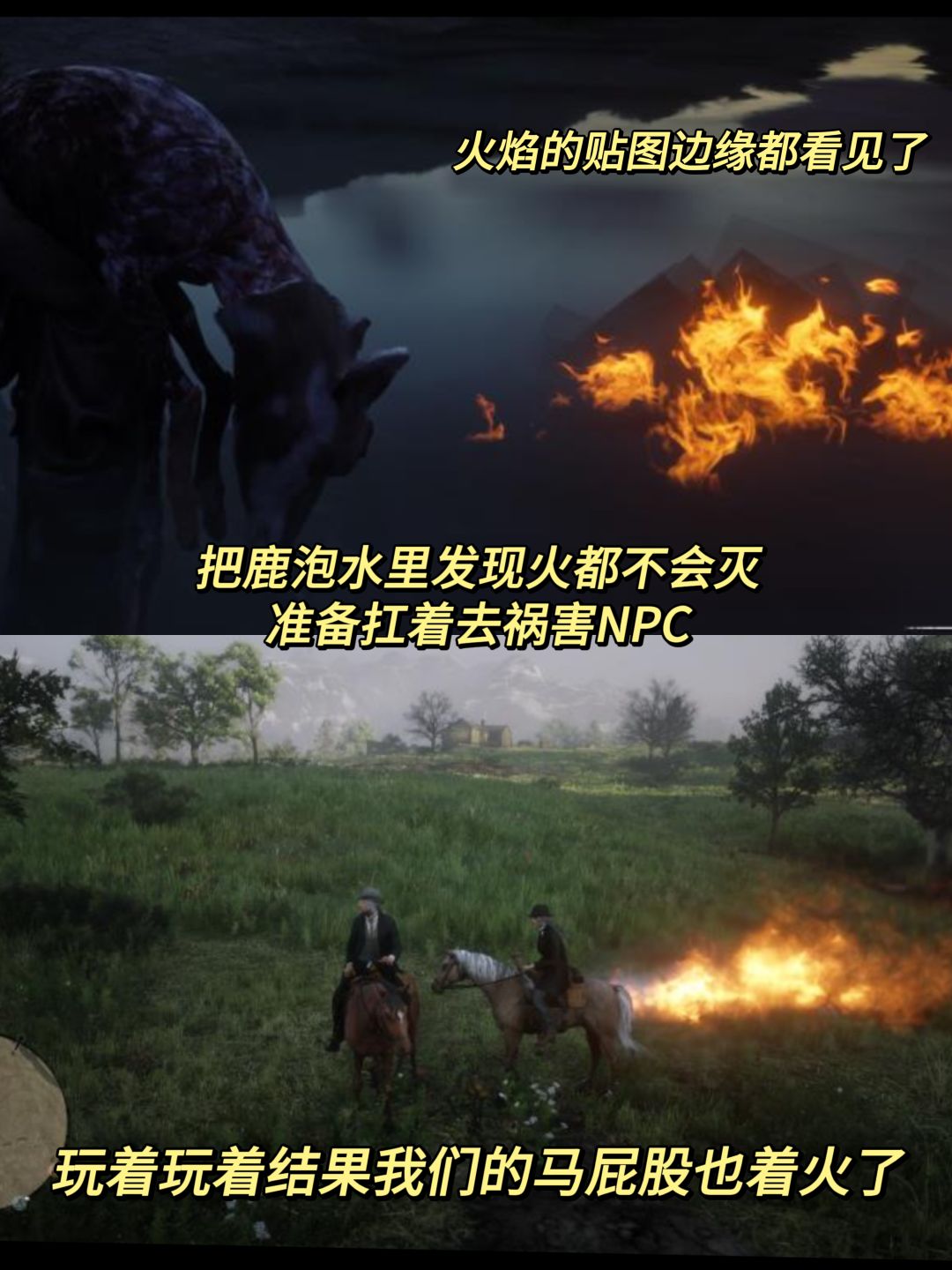 搭子趣事之我们发现一头屁股着火的鹿 2