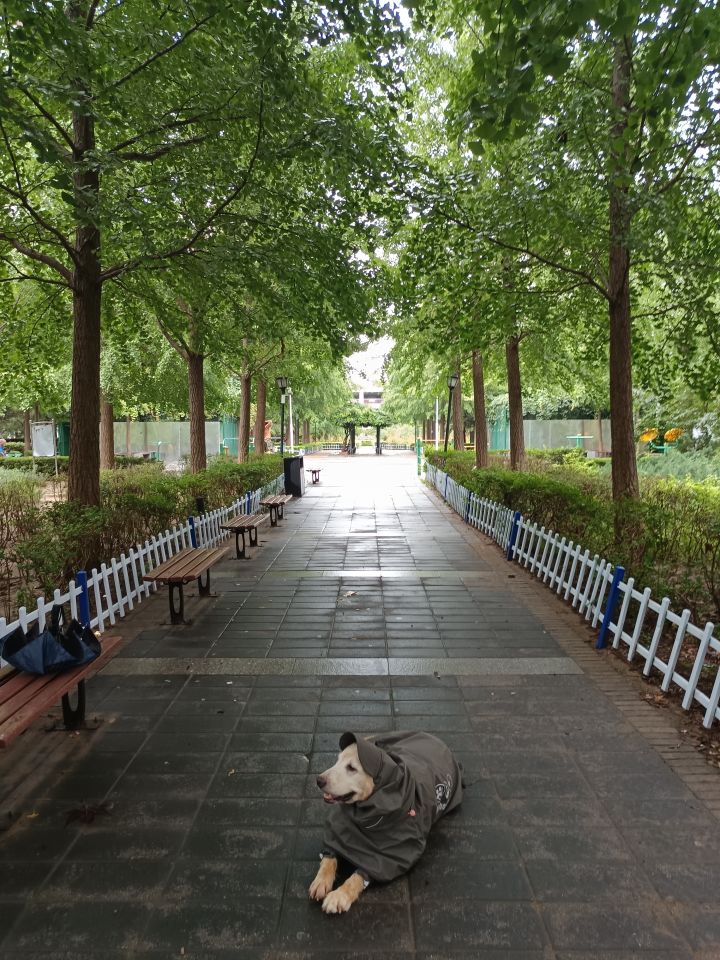 云游戏怎么拿每周异方晶截图
