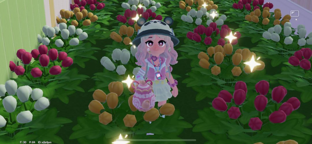 互相浇花 1