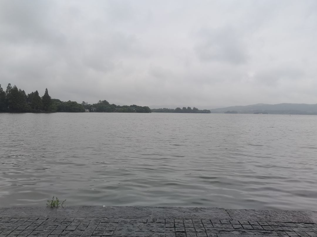 带着小樱去旅行 2