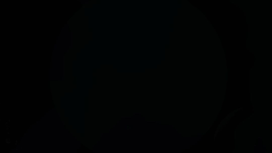 video-1216906