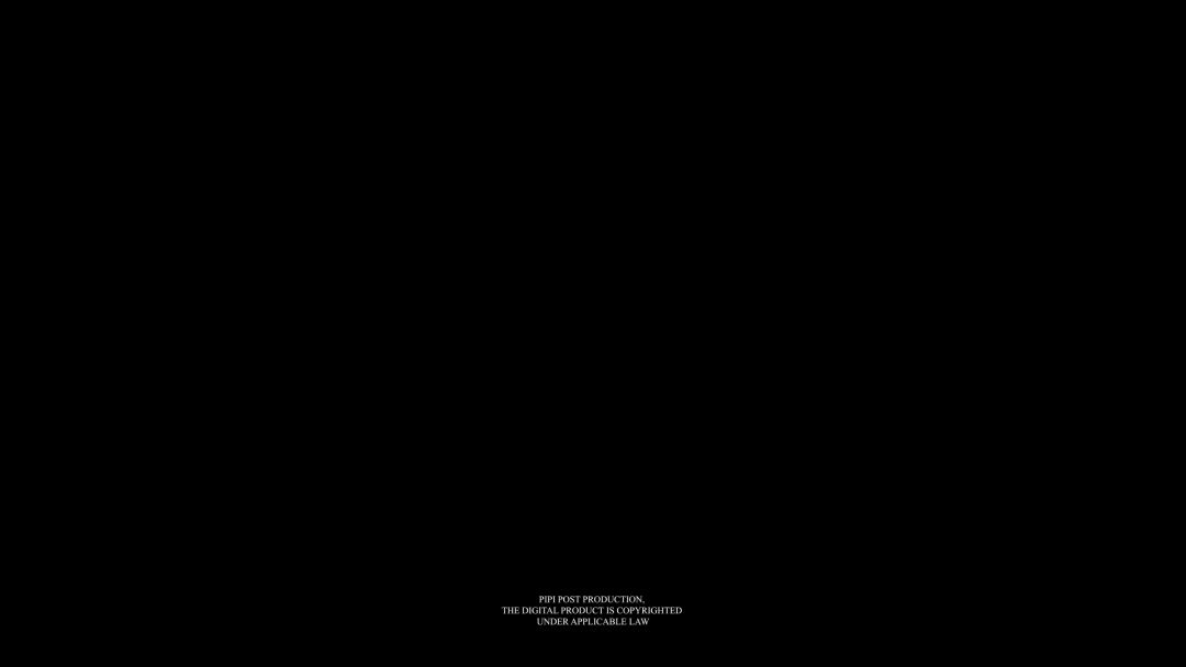 video-1219965
