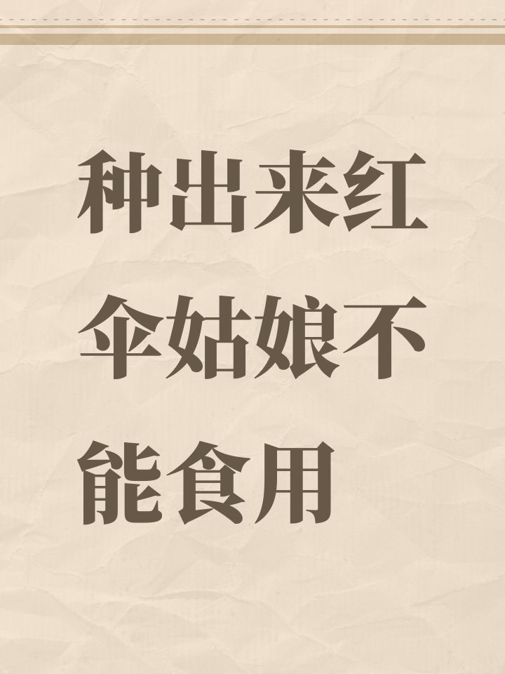 种出来红伞姑娘不能食用截图