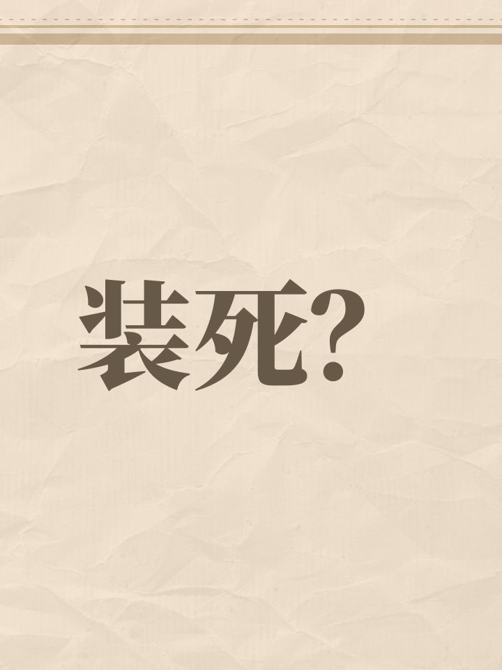 装死?截图