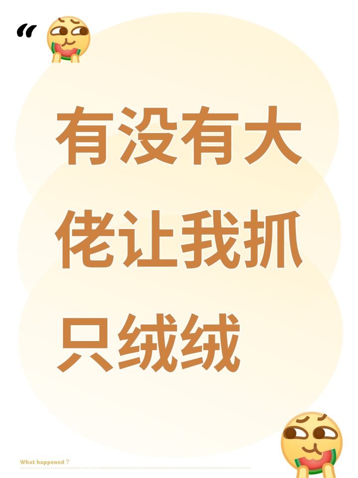 有没有大佬让我抓只绒绒截图