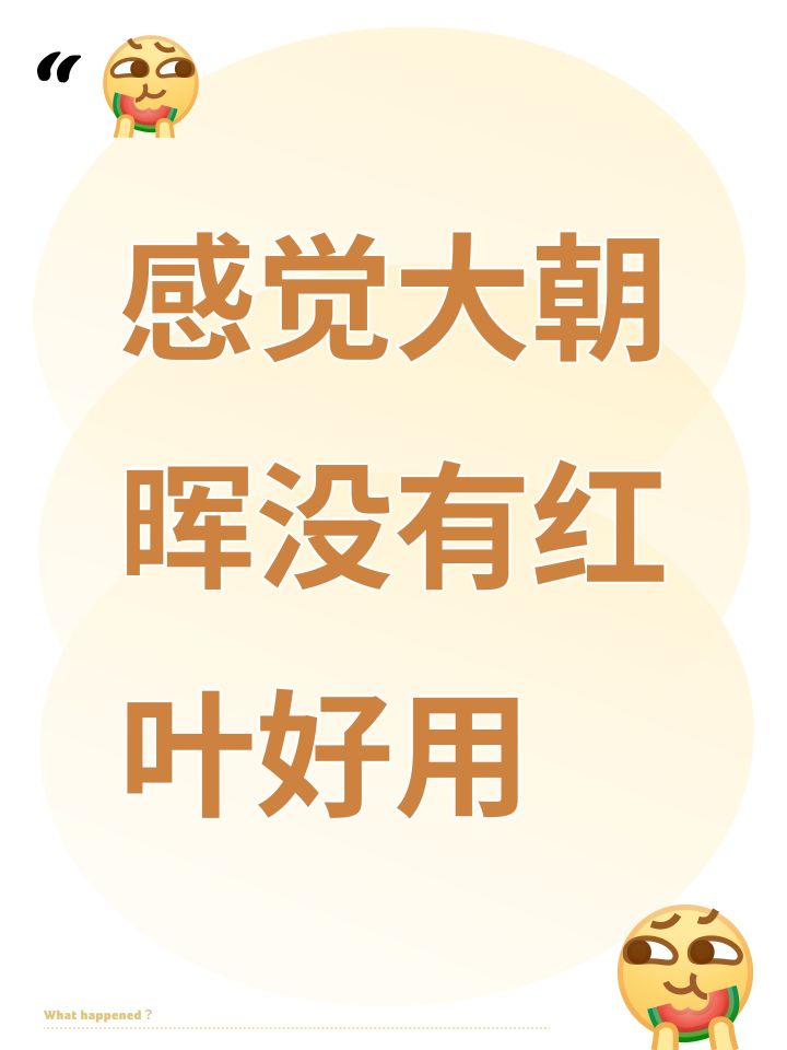感觉大朝晖没有红叶好用截图