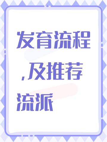 发育流程，及推荐流派