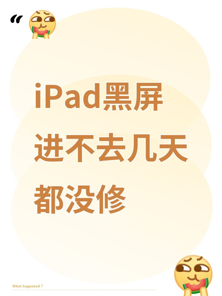iPad黑屏进不去几天都没修截图