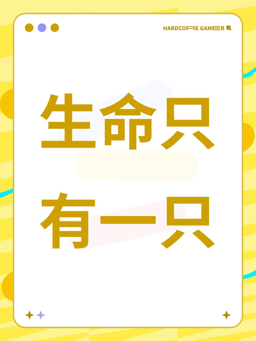生命只有一只 1
