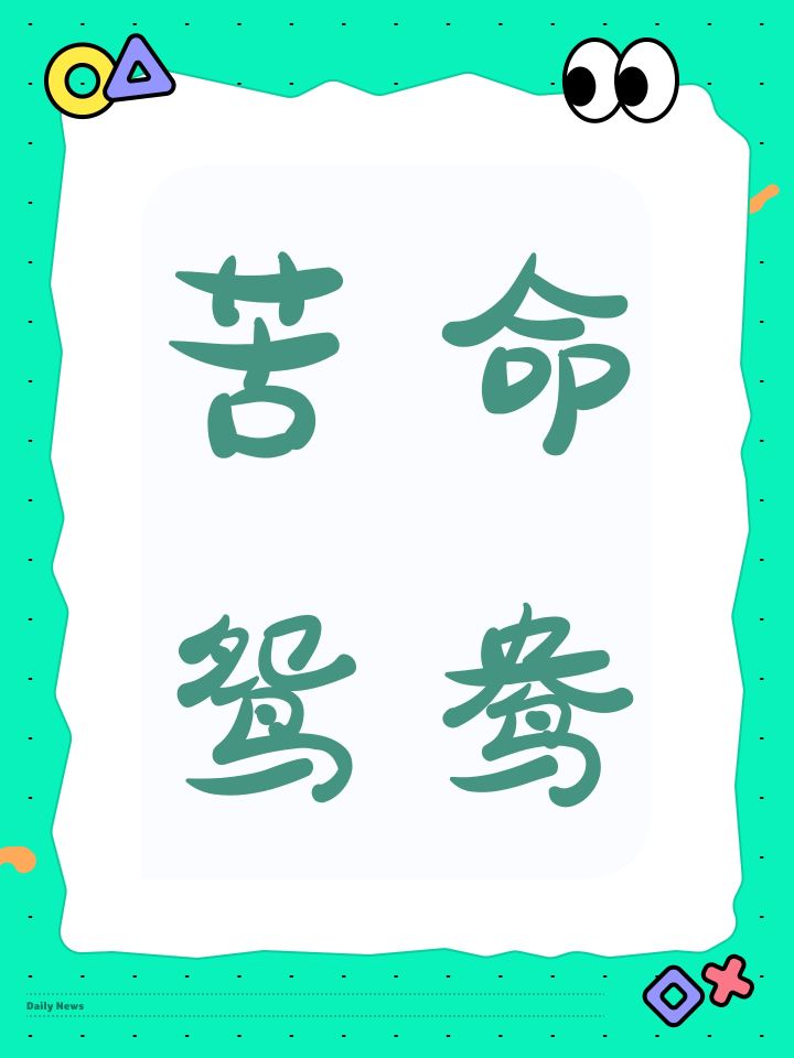 苦命鸳鸯截图