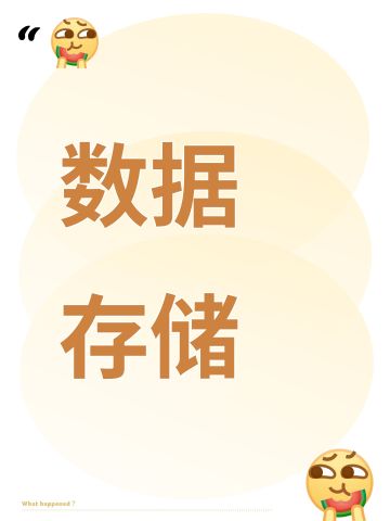 数据存储指南