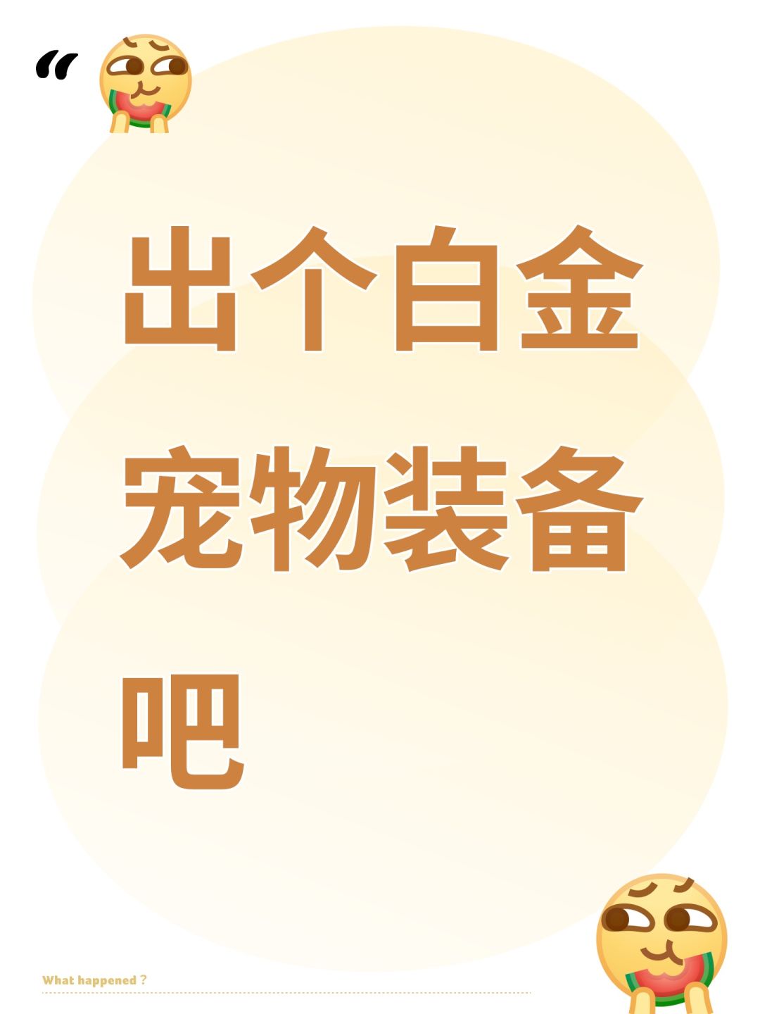 出个白金宠物装备吧 1