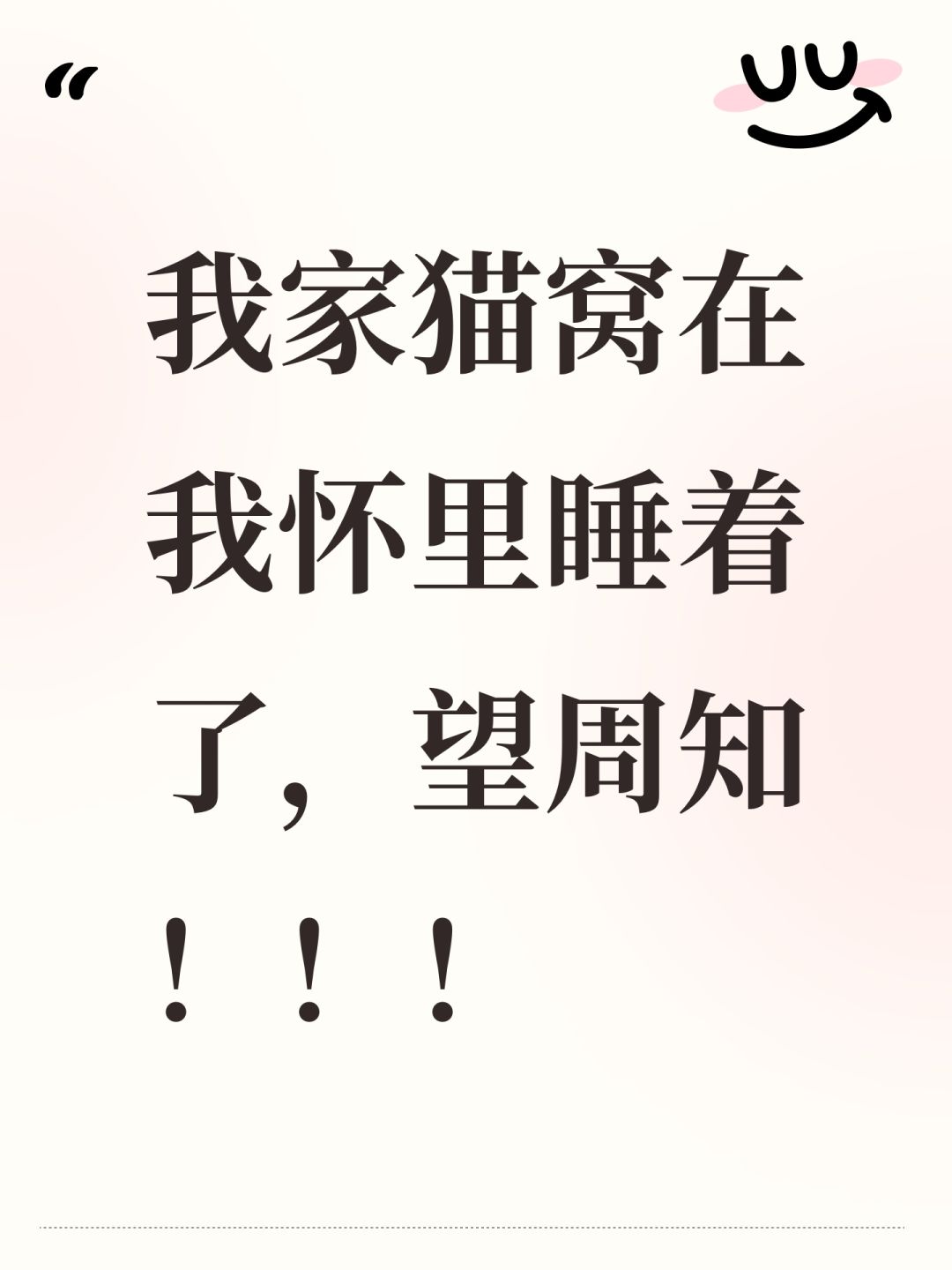 我家猫窝在我怀里睡着了,望周知!!! 1