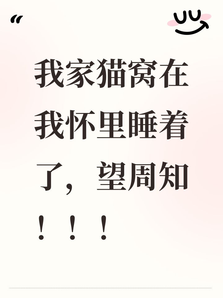 我家猫窝在我怀里睡着了,望周知!!!截图
