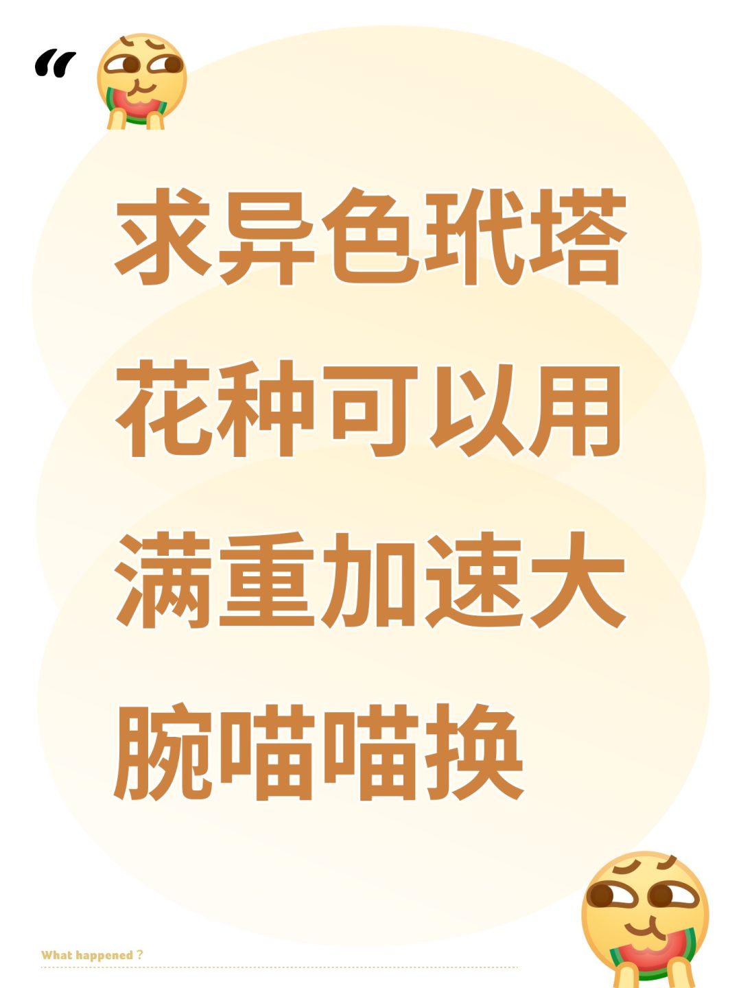 求异色玳塔花种可以用满重加速大腕喵喵换 1