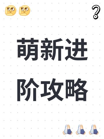 萌新进阶攻略