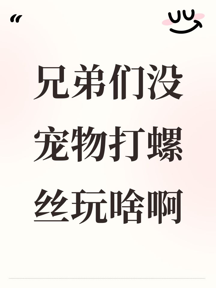 兄弟们没宠物打螺丝玩啥啊截图