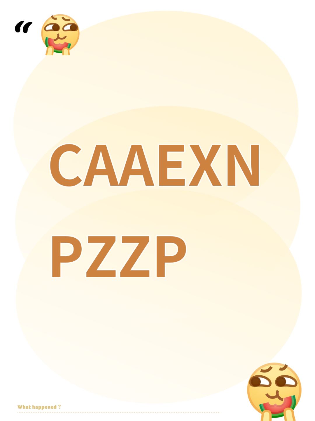 CAAEXNPZZP 1