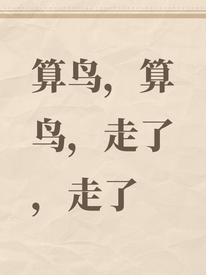 算鸟,算鸟,走了,走了截图