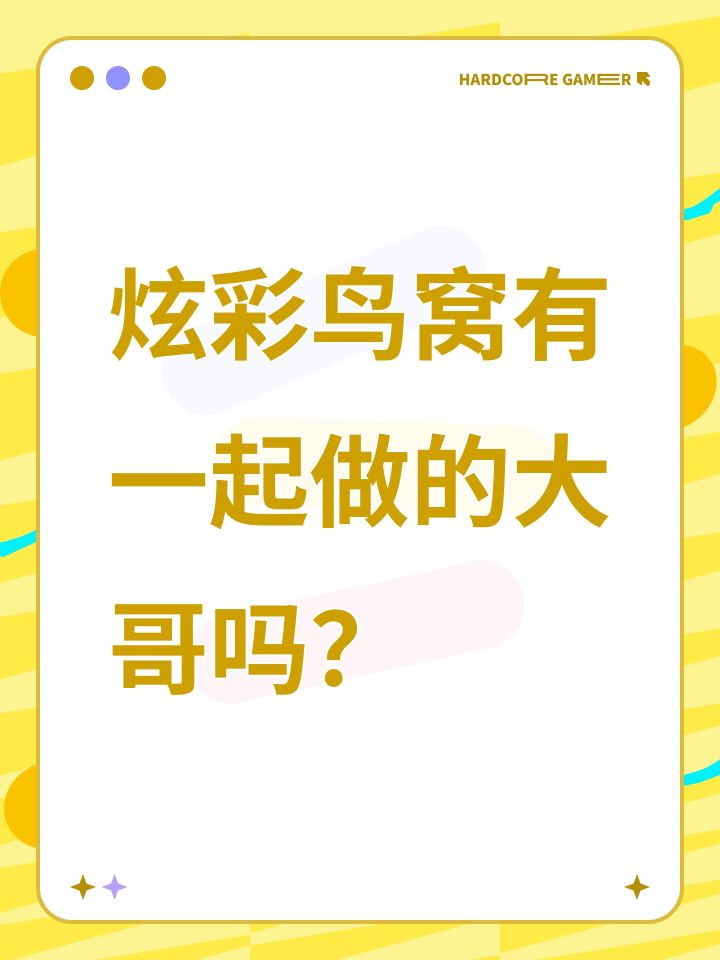 炫彩鸟窝有一起做的大哥吗?截图