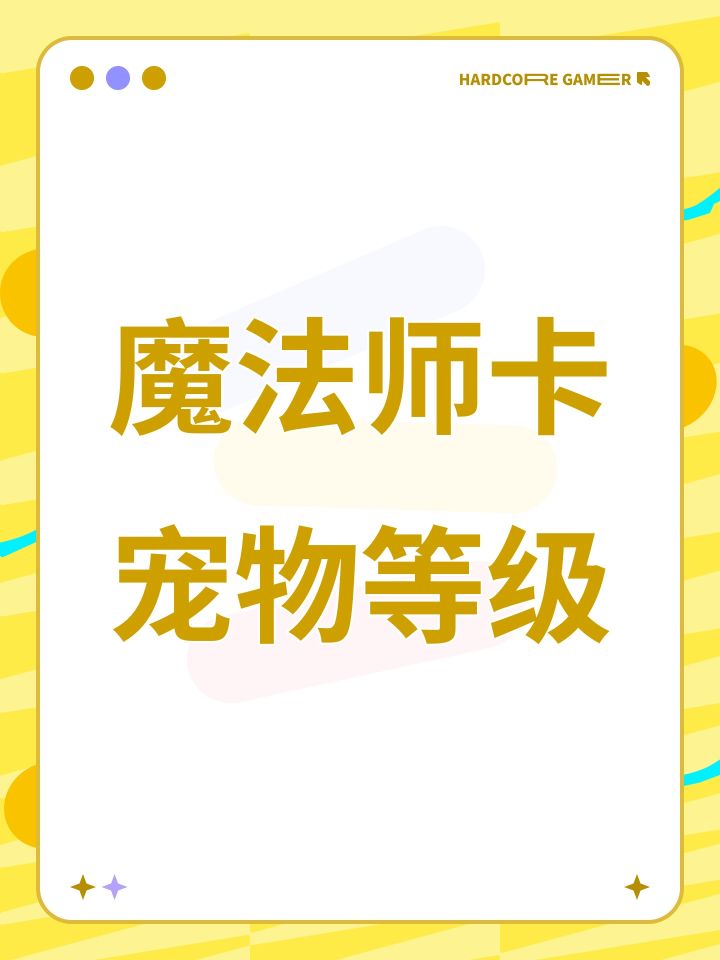 魔法师卡宠物等级截图