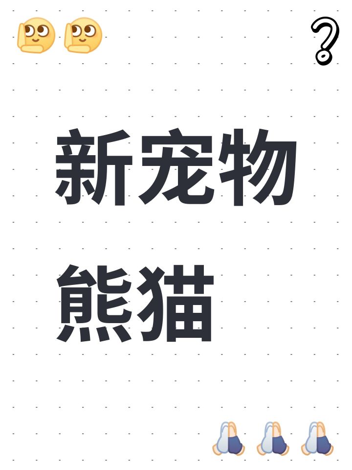 新宠物熊猫截图