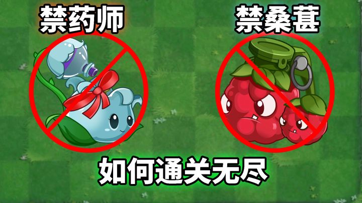 pvz2:禁药师桑葚,如何通关无尽挑战?截图