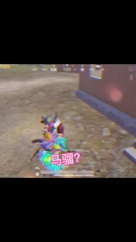 video-2120237