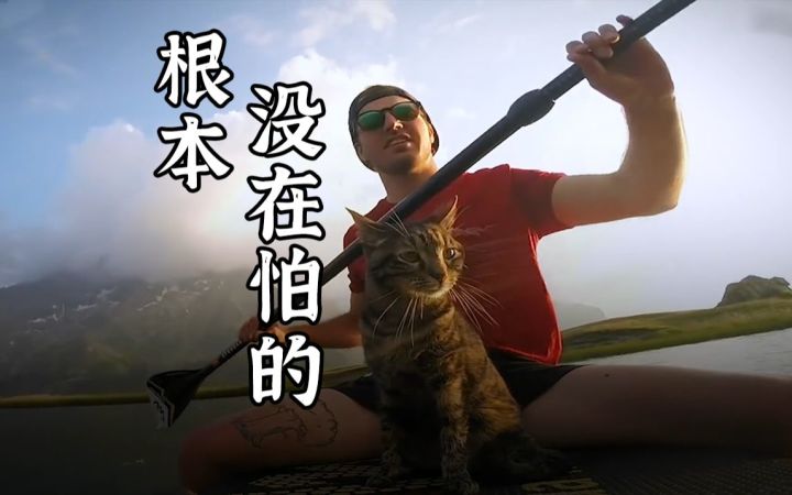 我家猫说是演的!热爱户外运动的猫猫,飞天遁地无所不能截图
