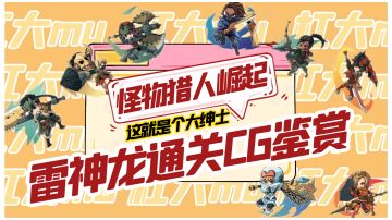 【怪物猎人崛起】就是个大绅士！雷神龙通关视频鉴赏