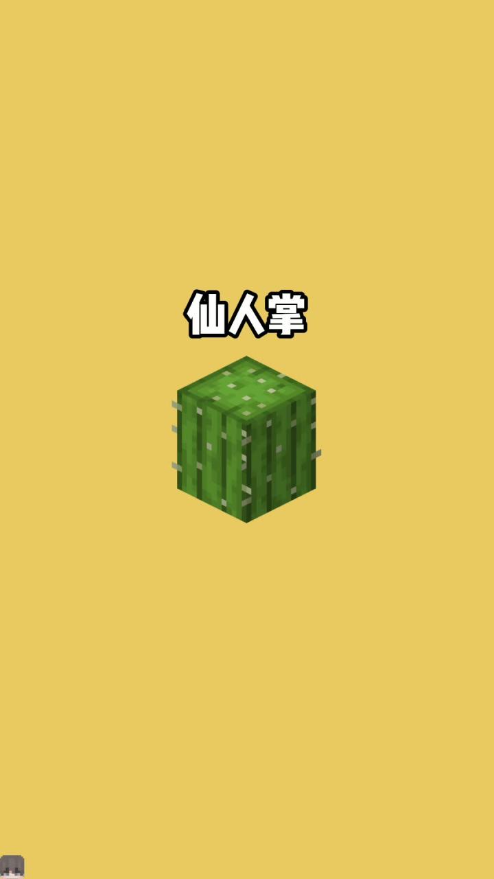 我的世界vs真实世界——仙人掌#我的世界动画 #我的世界截图