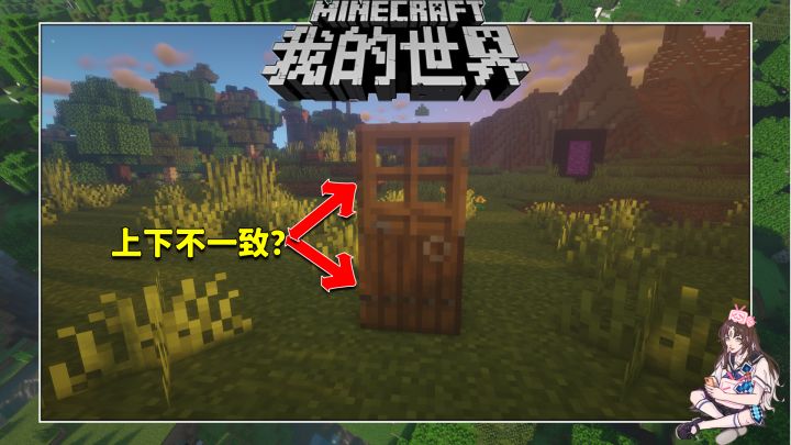 盘点几个我的世界关于门的冷知识截图