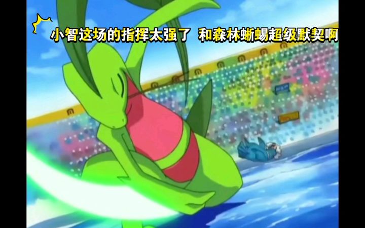 精灵宝可梦 小智这场的指挥太强了 和森林蜥蜴超级默契啊截图