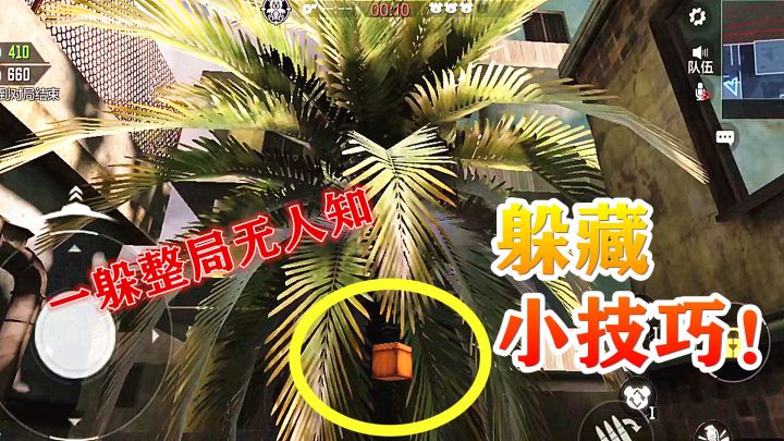 #玩转CODM#122：躲猫猫隐藏技巧，椰树上的小方盒，这才是最佳隐藏点！截图