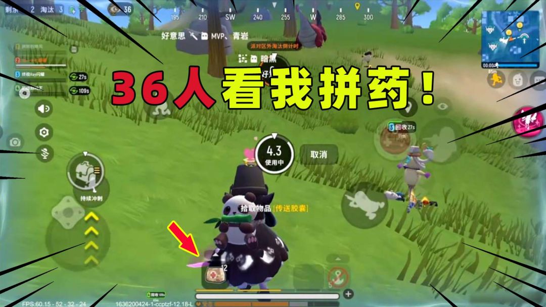 video-2255516