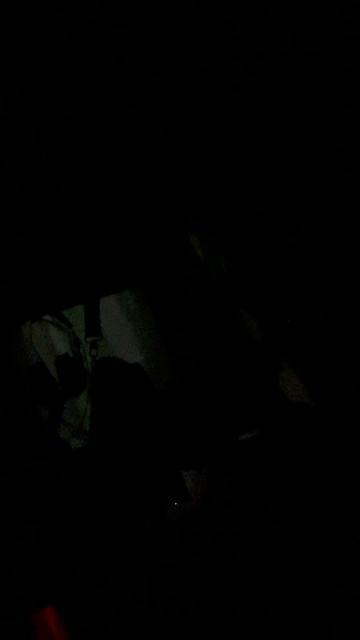 video-2189075