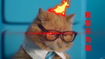 《狗狗呼叫喵星》12月5日0点IOS平台正式上线！猫狗大战，一触即发！