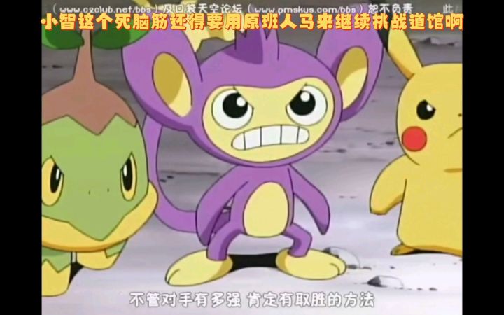 精灵宝可梦 小智这个死脑筋还得要用原班人马来继续挑战道馆啊截图