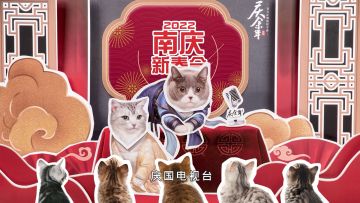 喵喵喵！《庆喵年》剧组倾情打造的大型喵咪春晚开播啦~