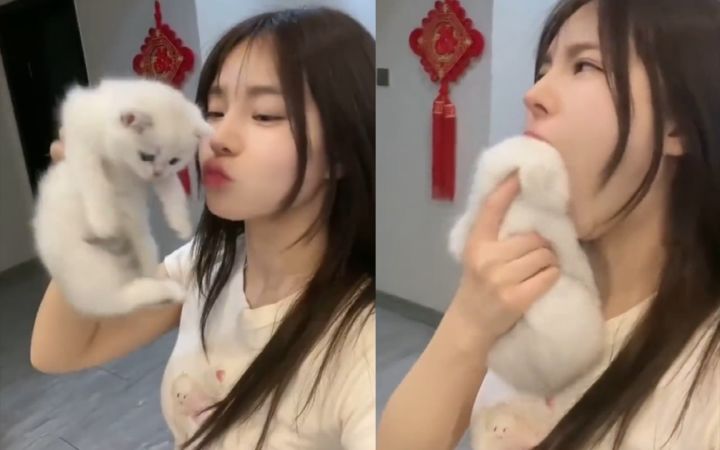 “妹子,猫不是这么吃的!!”截图