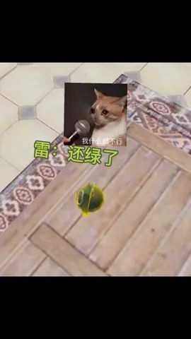 #如果某某会说话 啊这湛蓝的天空啊截图