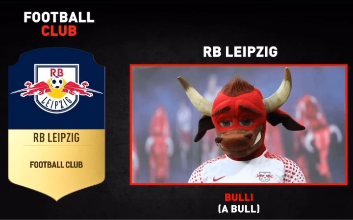 fifa盘点各俱乐部的吉祥物截图