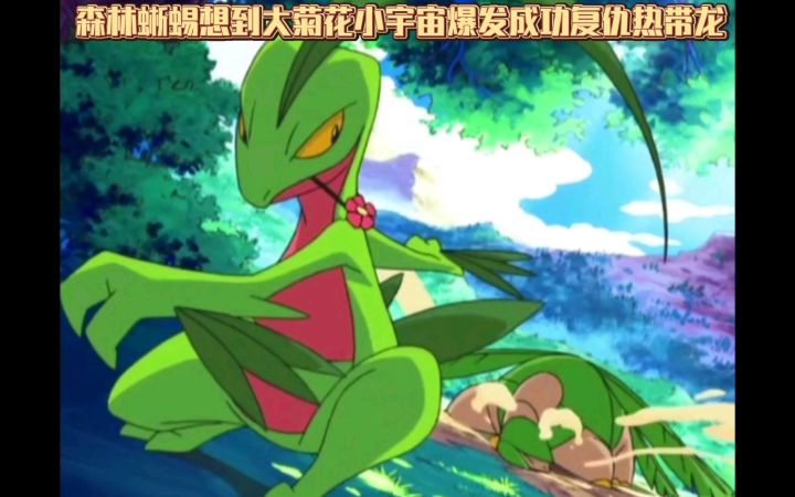 精灵宝可梦 森林蜥蜴想到大菊花小宇宙爆发成功复仇热带龙截图