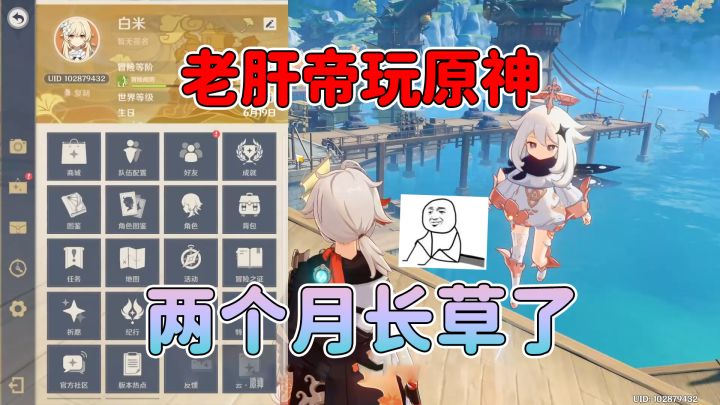 老肝帝玩原神，两个月直接长草！截图